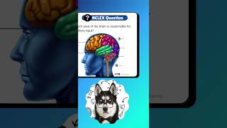 73 - NCLEX Question &amp; Answer + Rationale for Nursing Students &amp; NCLEX #shorts #nursing #nclex #rn