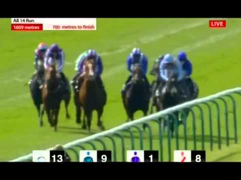 QIPCO 2000 GUINEAS 2014   Computer