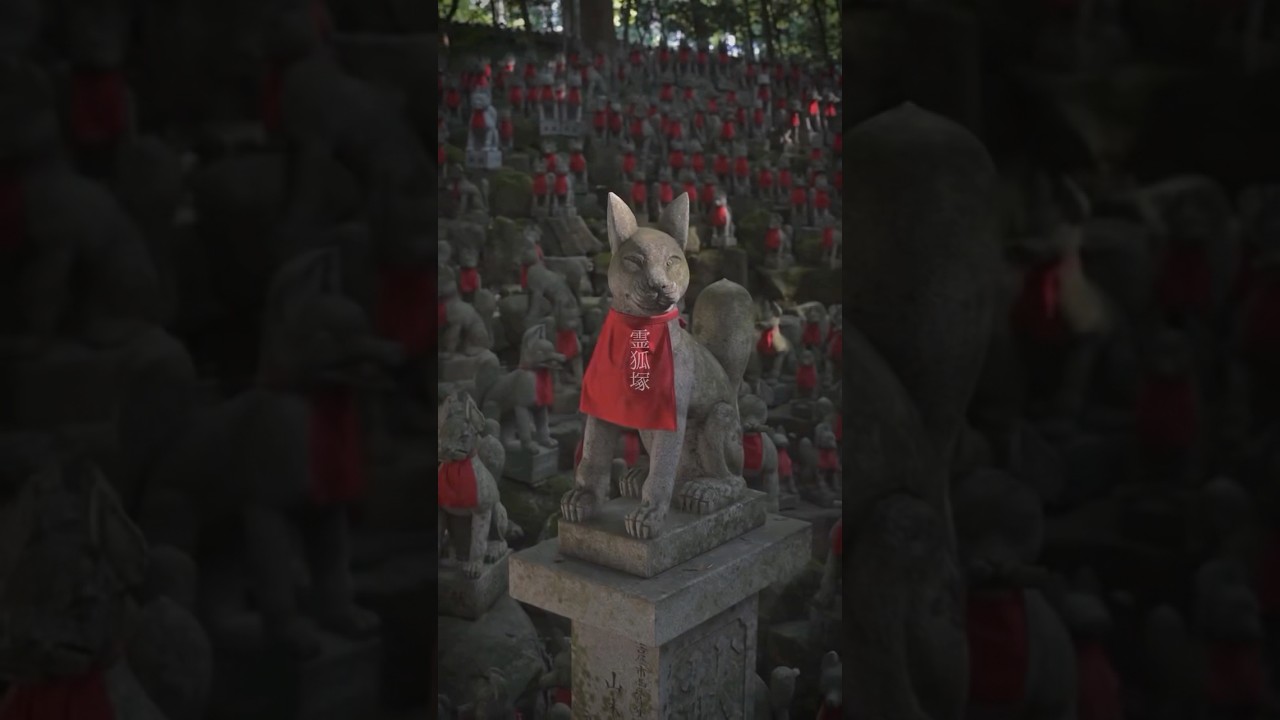 YouTube Short thumbnail