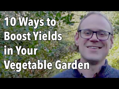 10 Ways to Boost Yields in Your Vegetable Garden