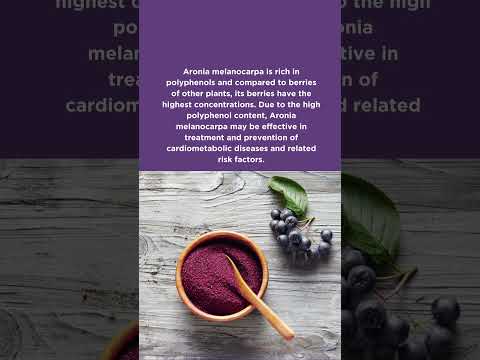 Aronia Melanocarpa Extract Powder