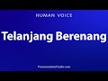 How To Pronounce Telanjang Berenang