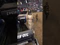 Never Seen a Bull Do a Hoofstand