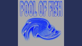 Parker Fans - Pool of Fish video