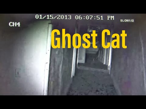 The Shanley Hotel Video 1