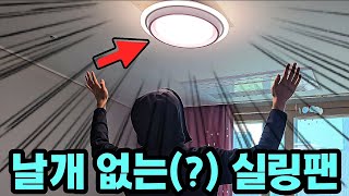 가성비 넘치는 올 여름 필수템