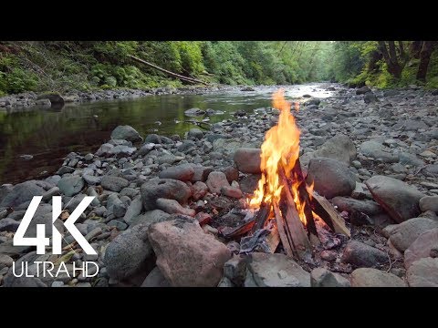 8 HOURS Crackling Campfire with Relaxing River Sounds and Wonderful Bird Singing