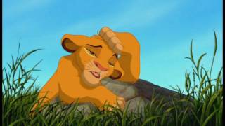 The Lion King - Morning Report (English)
