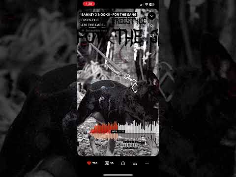 For the gang-bansky x nookii