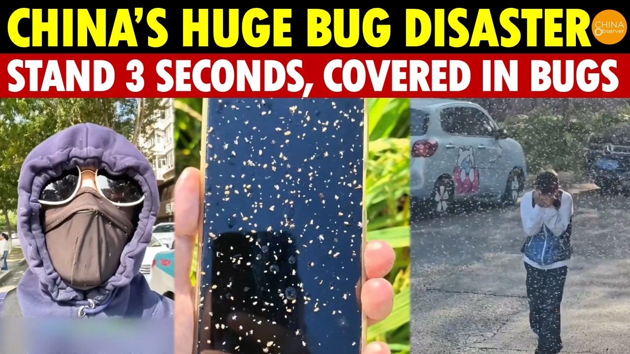 China’s HUGE Bug Disaster: Stand 3 Seconds, Get Covered In Bugs, 28M Acres Of Farmland Devoured