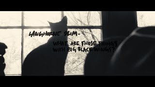 Langhorne Slim - What Are Those Things (With Big Black Wings) - Cover