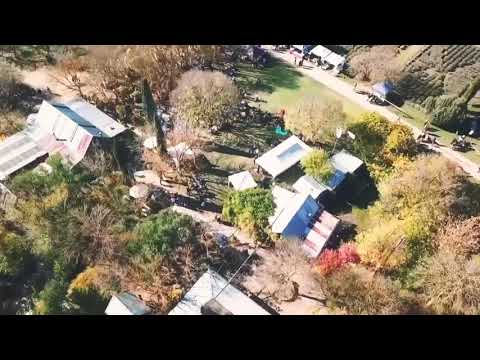 Lavandula Swiss Italian farm harvest May 2019