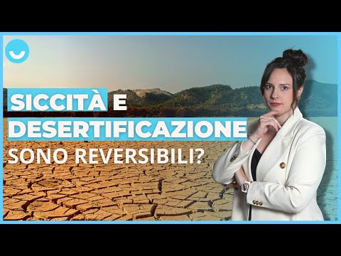 Desertificazione e siccità: è allarme anche in Italia