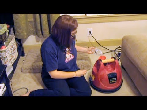 Ladybug Steam Cleaner Takes On Dirty Apartment | Sylvane