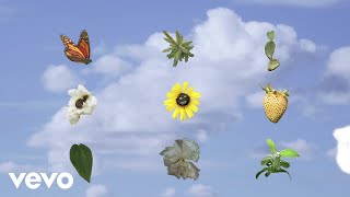 Cut Copy - Black Rainbows (Official Video)