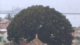 Richard Shindell - Confession