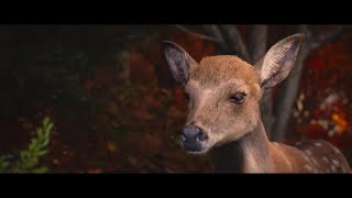 Assassin's Creed Shadows The Wake-up Call