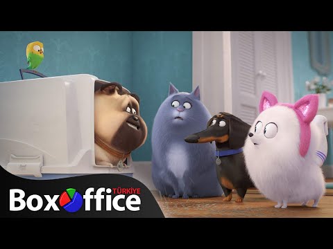 Evcil Hayvanların Gizli Yaşamı 2 - Fragman 3 (Türkçe Dublajlı)