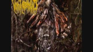 Vomit Remnants - Prodigy of Solitude