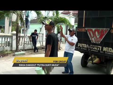 download lagu mp3 mp4 Lagu Dayuni Singa Dangdut Psm, download lagu Lagu Dayuni Singa Dangdut Psm gratis, unduh video klip Lagu Dayuni Singa Dangdut Psm