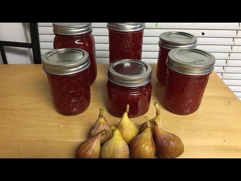 download lagu mp3 mp4 Fresh Fig And Strawberry Jam, download lagu Fresh Fig And Strawberry Jam gratis, unduh video klip Fresh Fig And Strawberry Jam