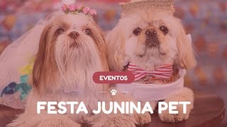 Festa Junina Pet - Junho 2017