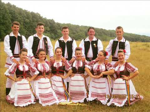 Druscelele Barsa jud Arad