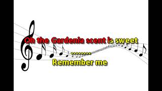 Michael Franks   Under The Sun No Vocal