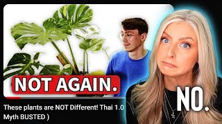 Reacting to the "DEBUNKING" of Thai 1.0...