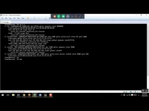 36 Day 17 Network Profiles