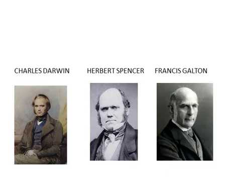 GESKIEDENIS GRAAD 9: 25 Junie 2020 - periode 7 (25097)