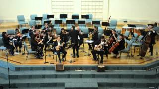 A.Vivaldi - Concerto for Lute (Mandolin) in D Major RV 93 - III Movement