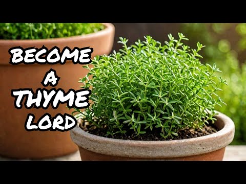 How to Grow Thyme: The Complete Guide