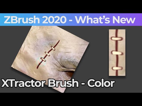 021 Zbrush 2020 XTractor Brush With Color