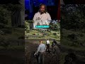 Welcome To Red Dead RP ️ Rdr2 Reddeadredemption Funnymoments