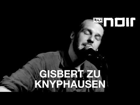 Gisbert zu Knyphausen - Kräne (live bei TV Noir)