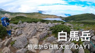 【登山】白馬岳／絶景を求めて／栂池から白馬大池／DAY1