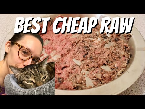 Best raw cat food you can buy locally
