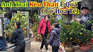 Choáng Cảnh Anh Trai Kêu Than Quất Ế Khách Chợ Hoa Xuân Hoàn…