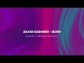 David Kushner - Burn (slowed + reverb)