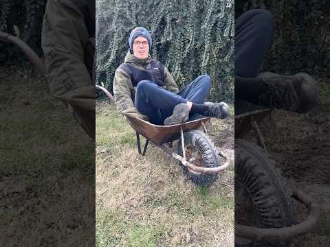 1 like = 1 lépés! 😱 #shorts