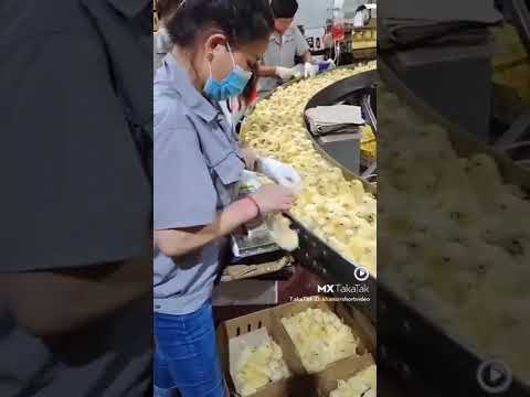 #pet #shorts #subscribe  dharmesh Rohit