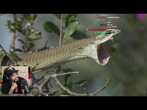 ImDontai Reacts To The Snake Tier List