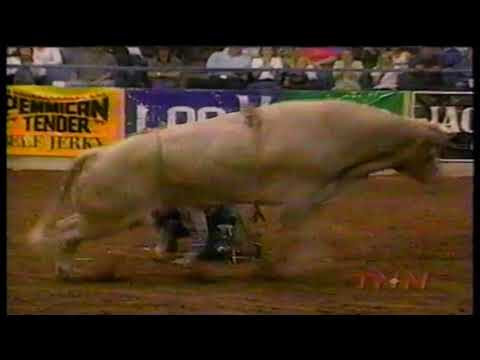 Promise Land bucks Donald Owens - 98 PBR Odessa