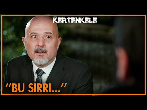 Bu sırrı öğrenmeye geldim! - Kertenkele