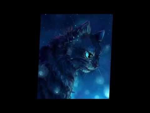 jayfeather's blindness