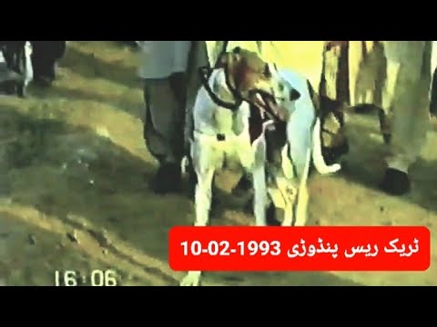 Trac Race | 10.02.1993 | Pandori part 1