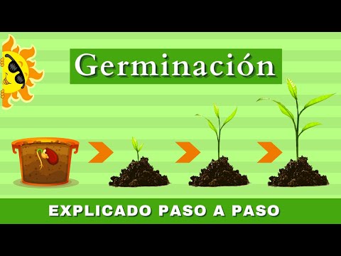 , title : 'La Germinación | ¿Cómo  Crece Una Planta? | Videos Educativos Para Niños'