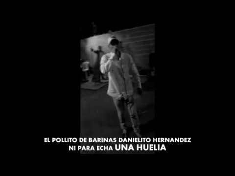 danielito hernandez el pollito de barinas parranda llanera