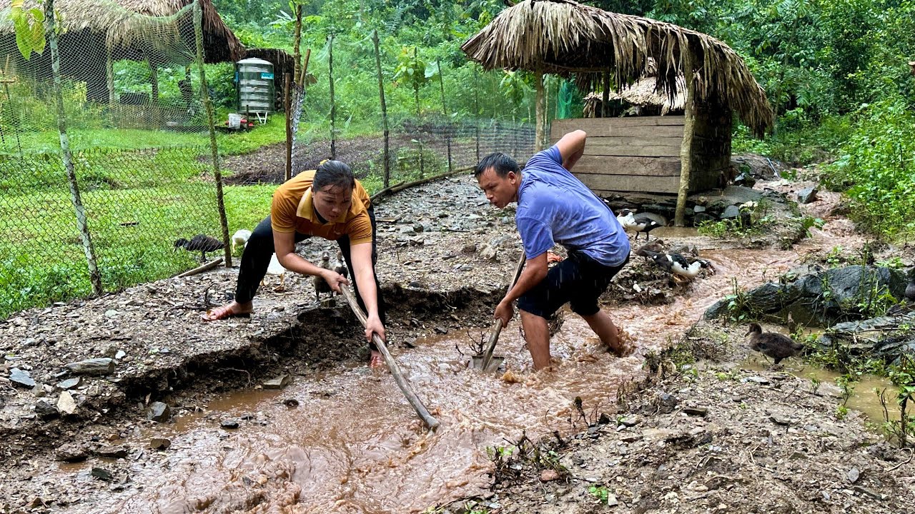 Heavy rain and flash floods as Typhoon Yagi passes through